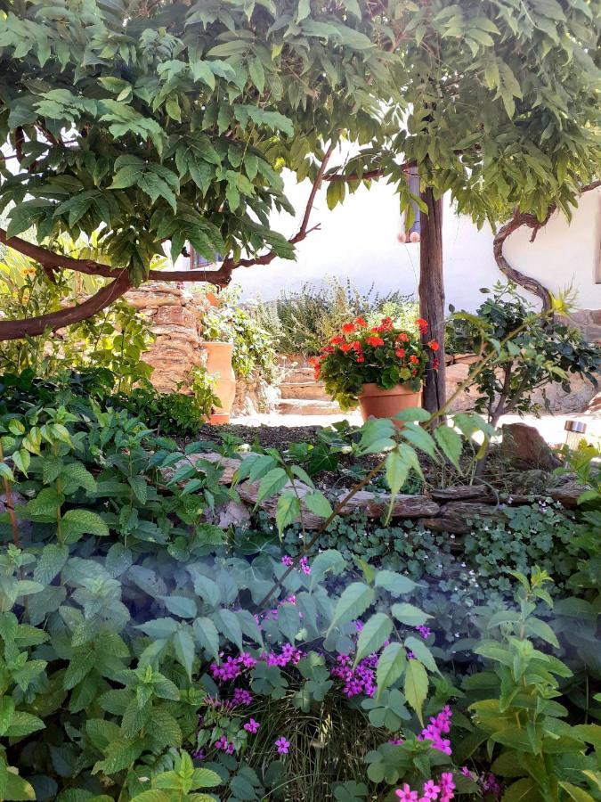 Cortijo Los Maximos Turon 外观 照片
