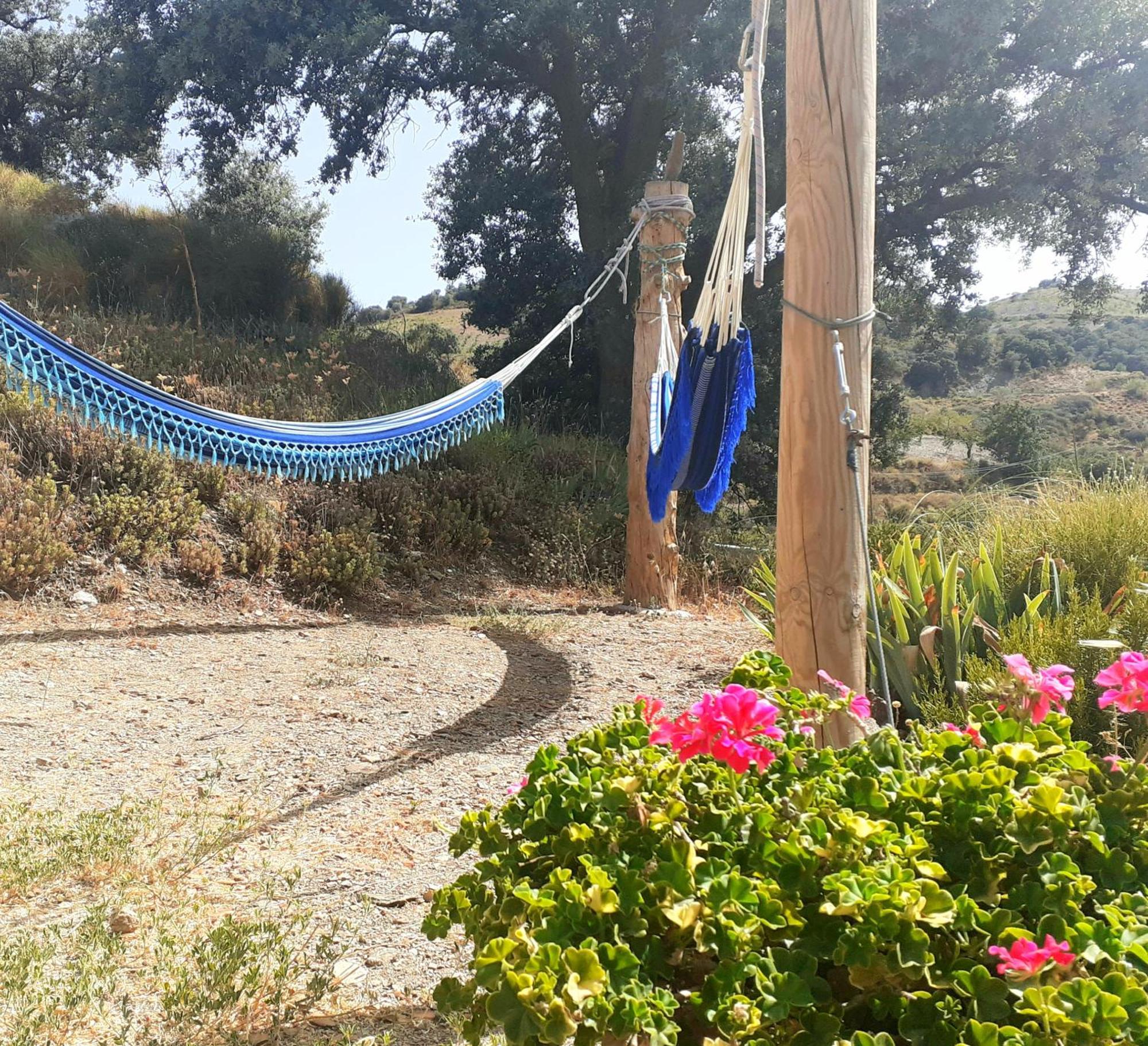 Cortijo Los Maximos Turon 外观 照片