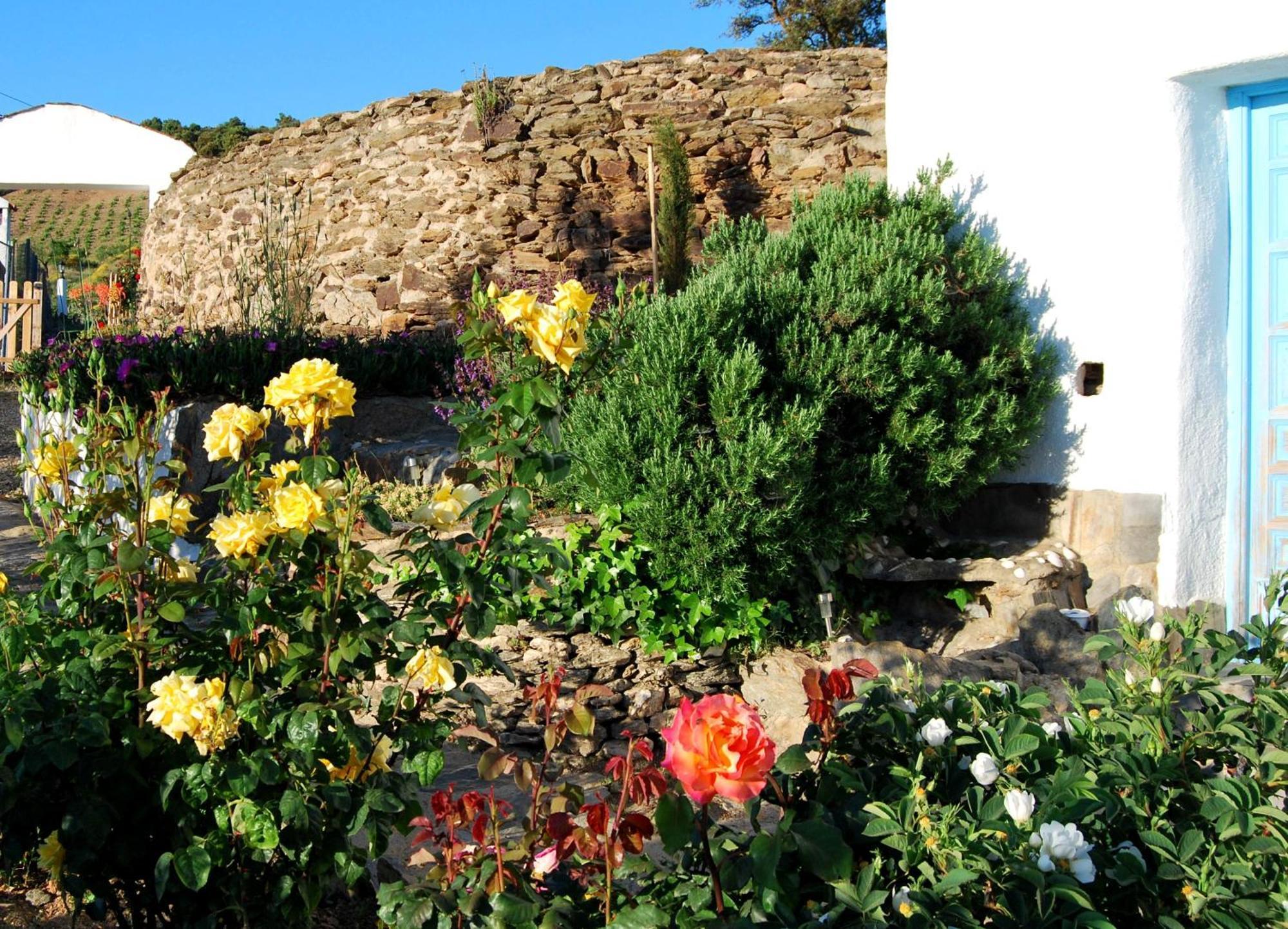 Cortijo Los Maximos Turon 外观 照片