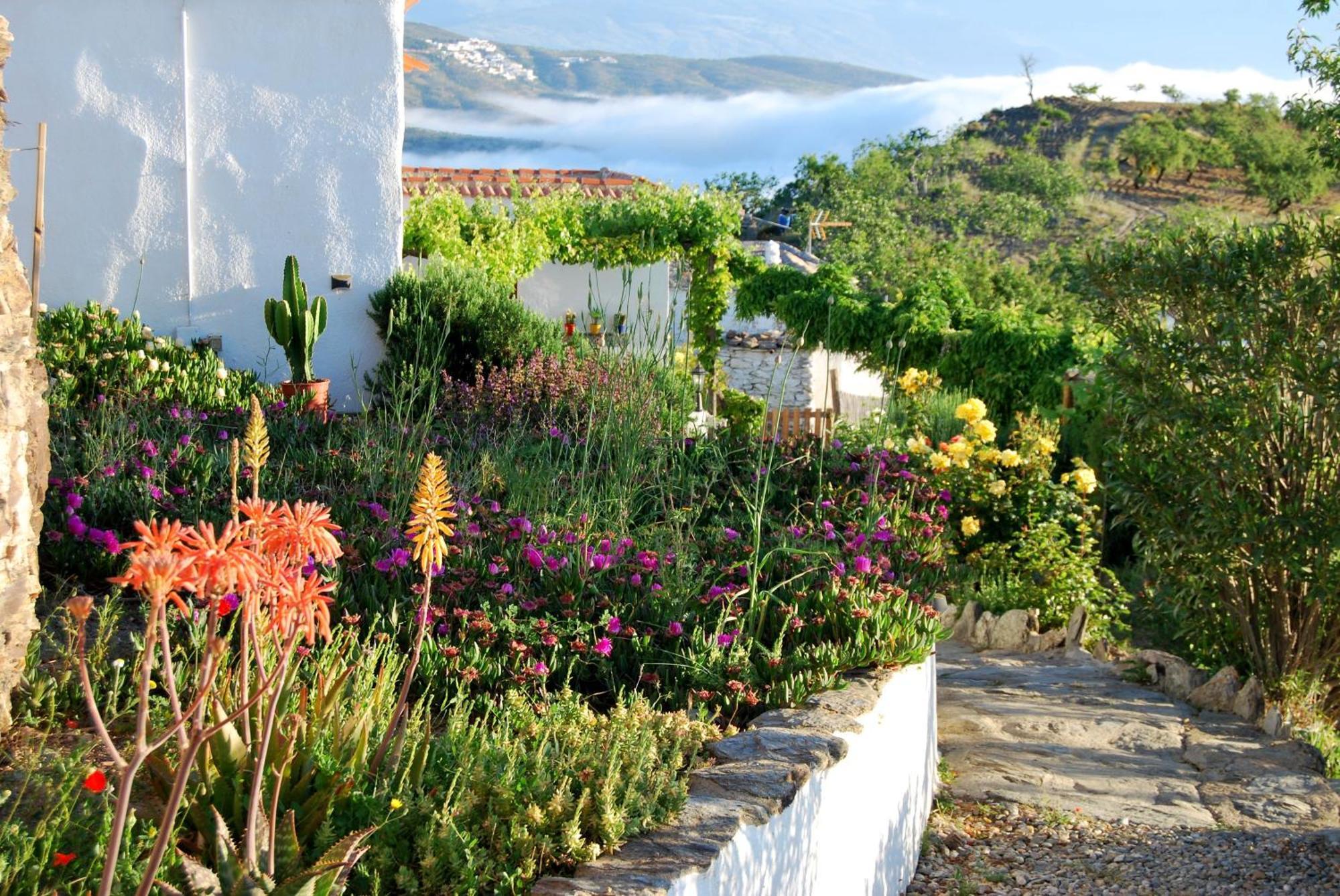 Cortijo Los Maximos Turon 外观 照片