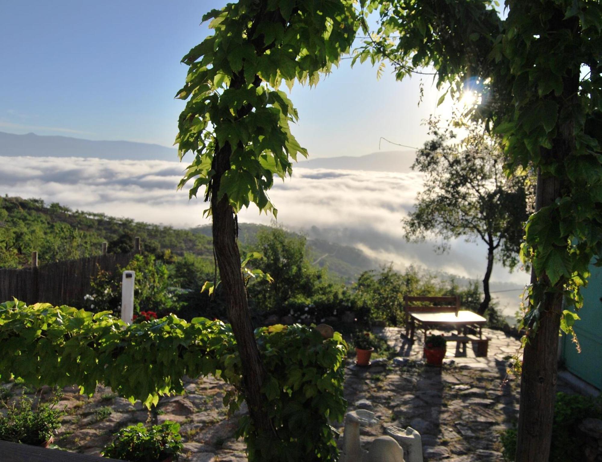 Cortijo Los Maximos Turon 外观 照片