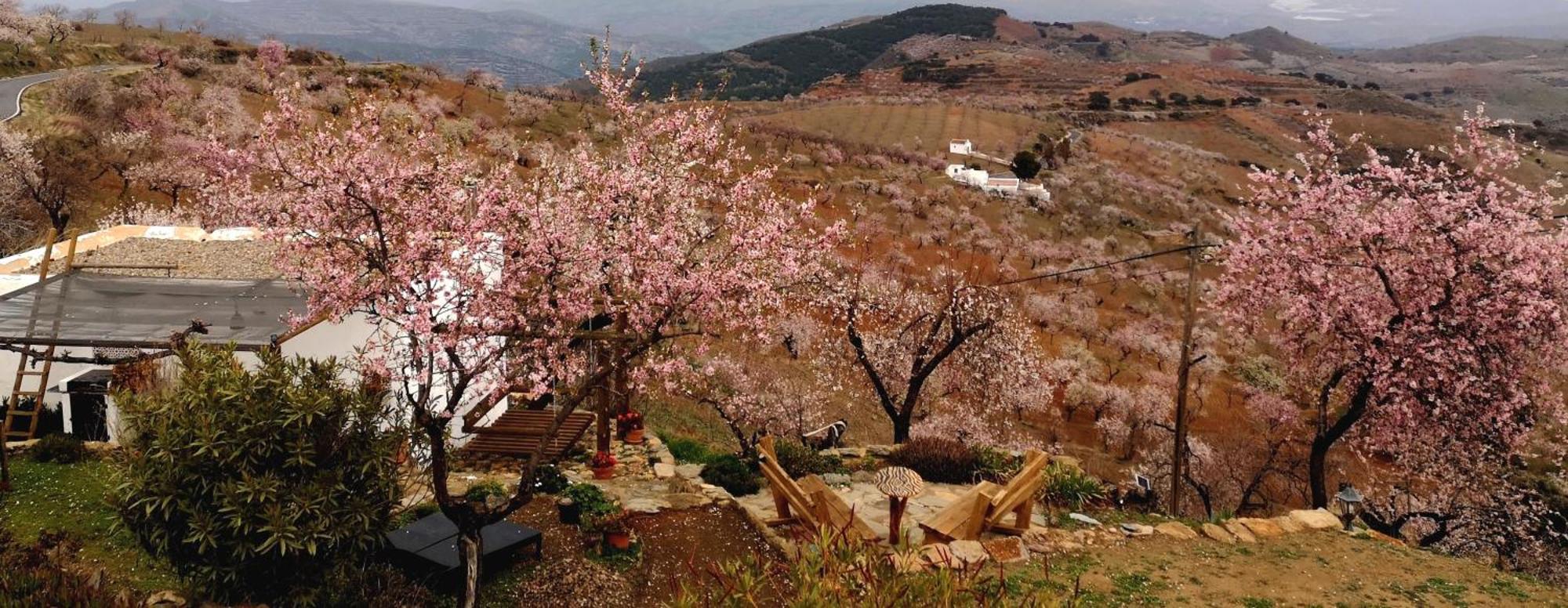 Cortijo Los Maximos Turon 外观 照片