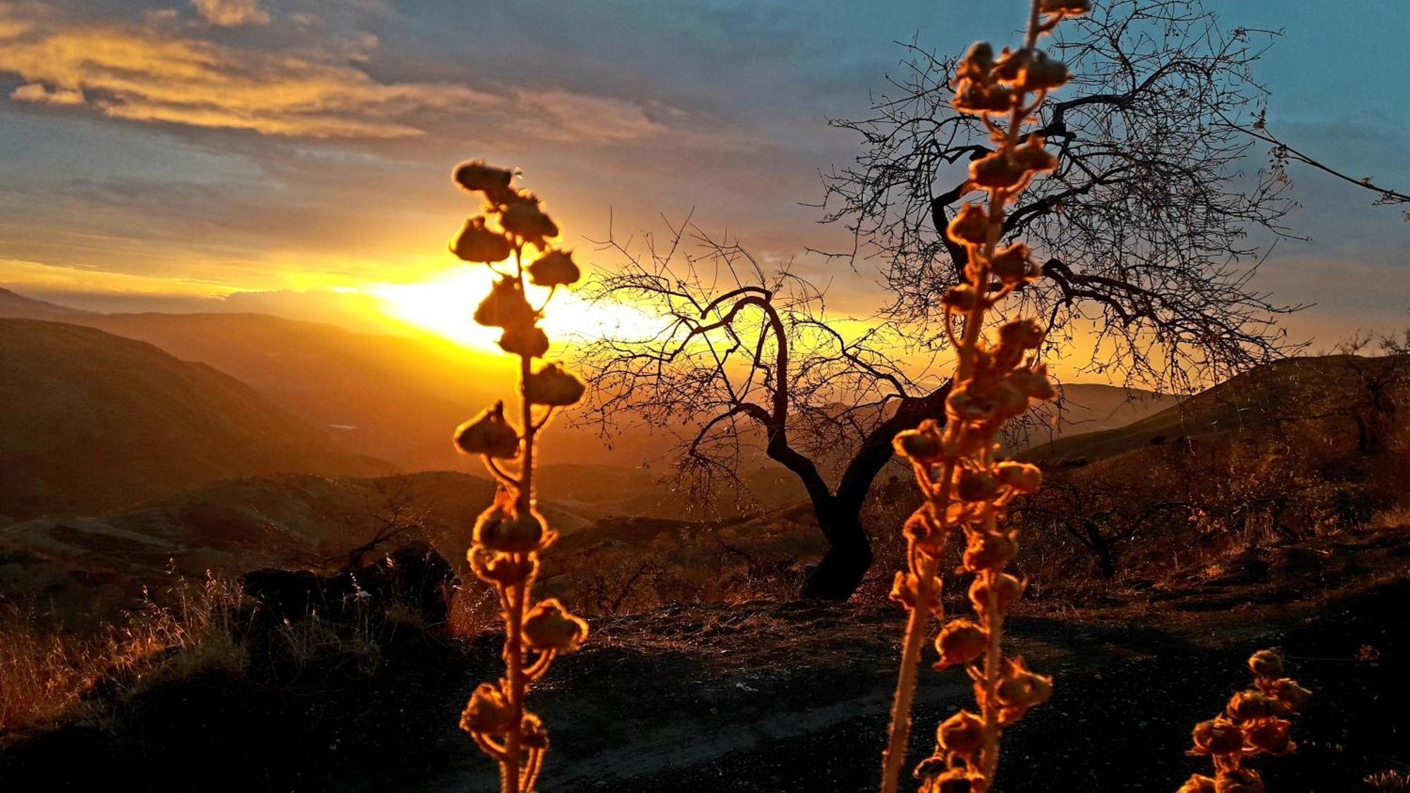 Cortijo Los Maximos Turon 外观 照片