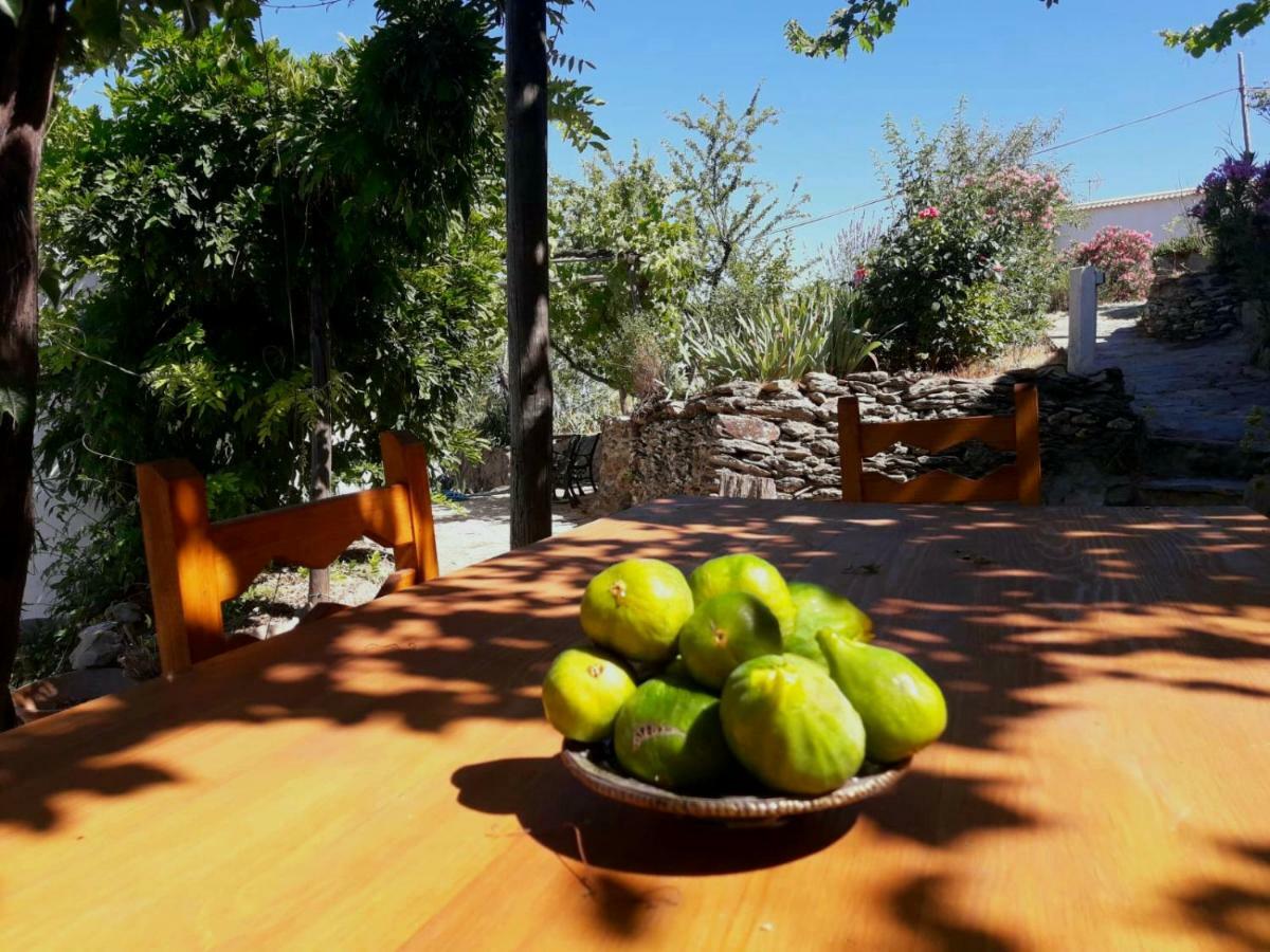 Cortijo Los Maximos Turon 外观 照片