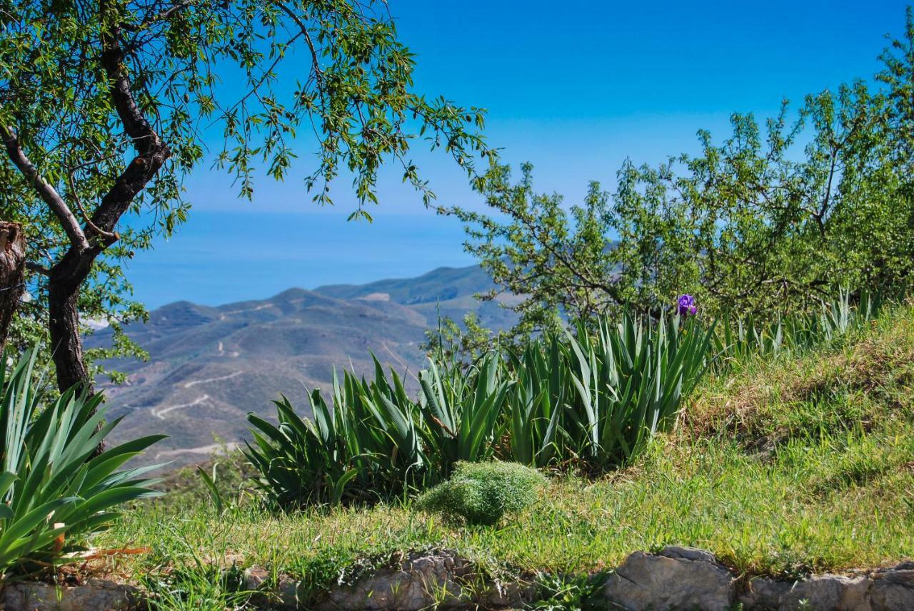Cortijo Los Maximos Turon 外观 照片